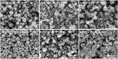 Inhalable Composite Microparticles Containing siRNA-Loaded Lipid-Polymer Hybrid Nanoparticles: Saccharides and Leucine Preserve Aerosol Performance and Long-Term Physical Stability